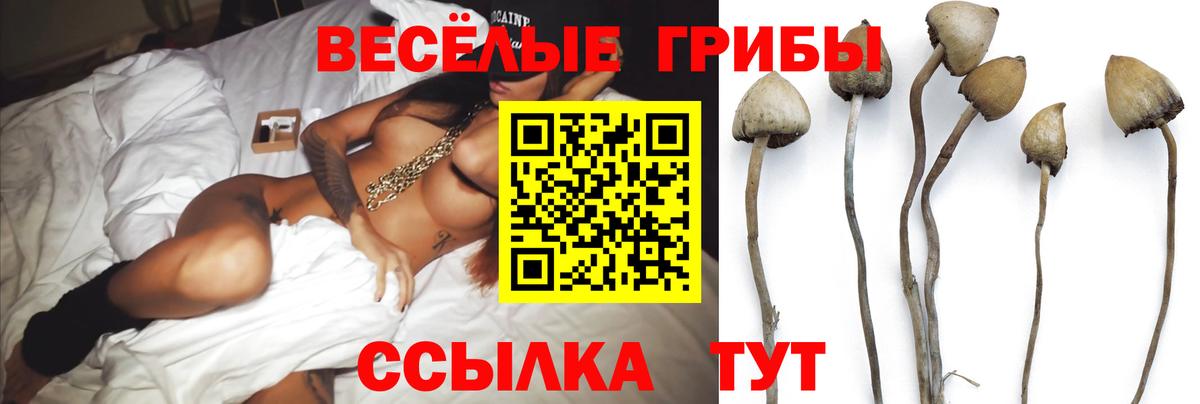 Псилоцибиновые грибы GOLDEN TEACHER  Вход с VPN  Первоуральск 
